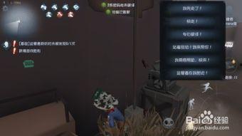 第五人格爆料最新信息在哪里看,揭秘新角色与游戏更新动态