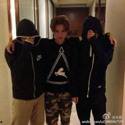 老高家世爆料视频大全,世系传承与爆料视频全解析