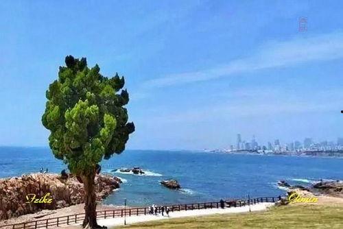 网红打卡岛,揭秘热门打卡地的魅力与故事