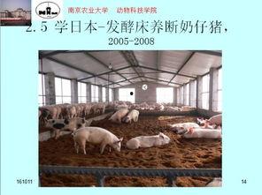 网红猪场弱酸环境,探索弱酸环境养殖新篇章