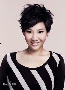 中国有多少位明星,璀璨星河中的璀璨星辰