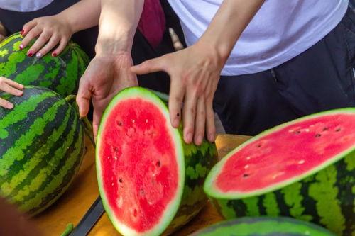 兰州大学吃瓜资源,揭秘校园里的“吃瓜”文化盛况