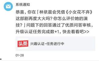 头条写历史领域要什么证,揭秘从业资格证的重要性
