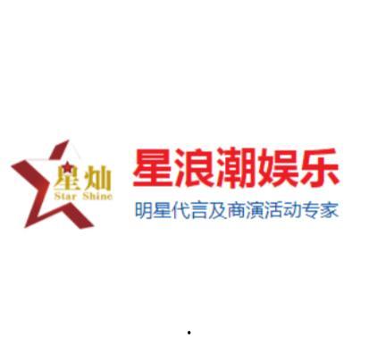 明星经纪公司会计,会计视角下的明星经济帝国