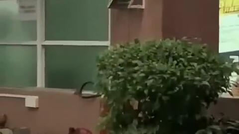 专业团队吃瓜视频,揭秘专业团队吃瓜背后的精彩瞬间