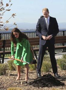 吃瓜群众惊艳瞬间