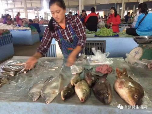 免费吃瓜叫卖,揭秘网络热传的趣味现象