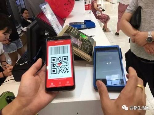 陇南今日头条手机网站,聚焦本土热点，解码陇南发展新篇章