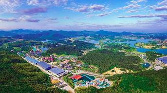 中国三大网红打卡地,探寻三大热门景点的魅力瞬间