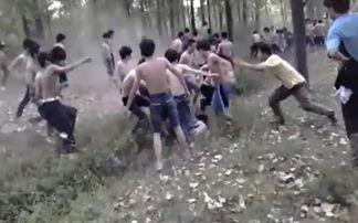 网友爆料中学生视频下载,中学生下载视频引发热议，揭秘背后真相