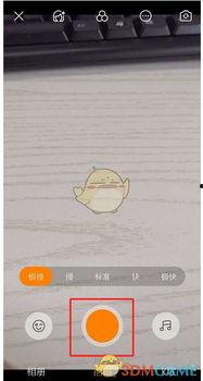 快手拍头条怎么拍,轻松制作吸睛短视频的秘诀