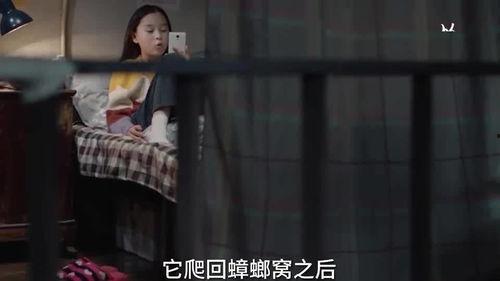 晨熙姐姐爆料视频大全集,揭秘幕后故事与精彩瞬间