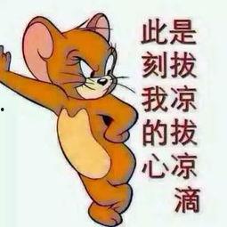 吃瓜群众睡觉图片,揭秘吃瓜群众睡眠瞬间