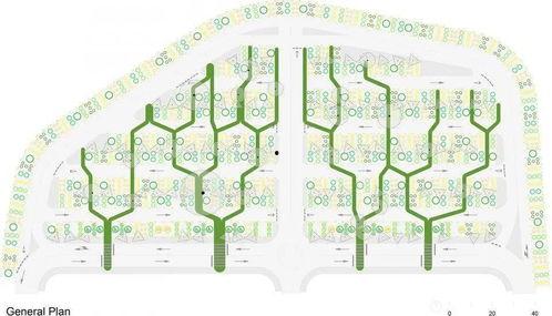 网红停车场图片,创意与艺术的完美融合