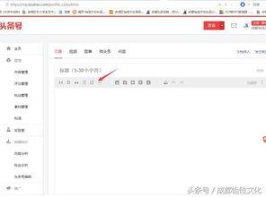 头条号字体怎么编辑,如何打造吸睛文章副标题