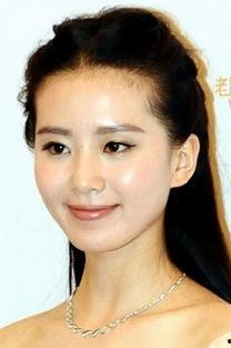 华人明星版,华人明星闪耀国际舞台