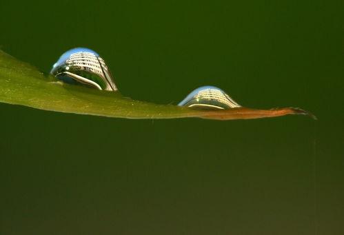 双子大厦吃瓜,揭秘网红打卡地的吃瓜趣事