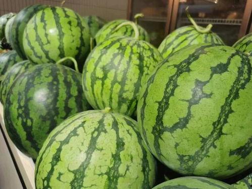 路岩石了吃瓜,揭秘娱乐圈的甜蜜与苦涩