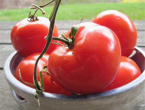 番茄微头条推荐,探索美食新天地，尽享舌尖上的美味之旅